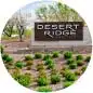 Kitchen Remodeling Services In Desert Ridge
